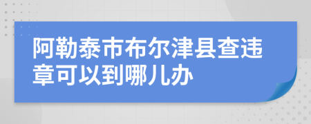 阿勒泰市布尔津县查违章可以到哪儿办