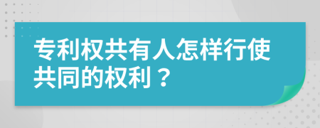 专利权共有人怎样行使共同的权利？