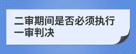 二审期间是否必须执行一审判决