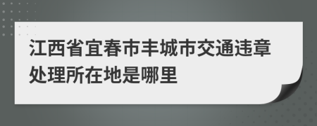 江西省宜春市丰城市交通违章处理所在地是哪里