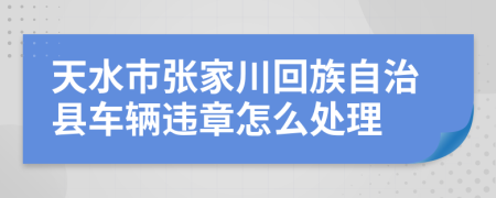 天水市张家川回族自治县车辆违章怎么处理