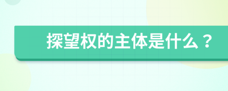 探望权的主体是什么？