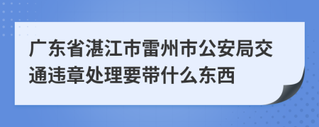 广东省湛江市雷州市公安局交通违章处理要带什么东西