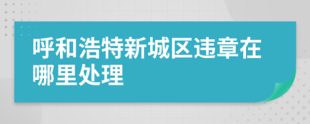 呼和浩特新城区违章在哪里处理