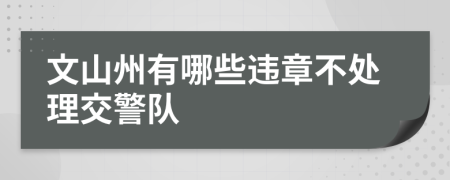 文山州有哪些违章不处理交警队