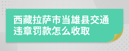 西藏拉萨市当雄县交通违章罚款怎么收取