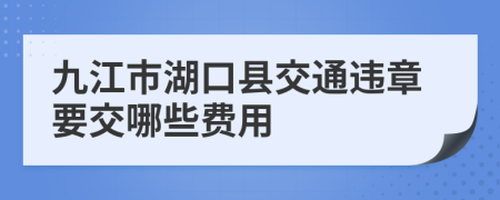 九江市湖口县交通违章要交哪些费用