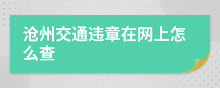 沧州交通违章在网上怎么查