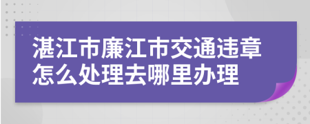 湛江市廉江市交通违章怎么处理去哪里办理