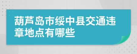 葫芦岛市绥中县交通违章地点有哪些