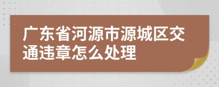 广东省河源市源城区交通违章怎么处理