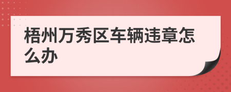 梧州万秀区车辆违章怎么办