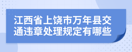 江西省上饶市万年县交通违章处理规定有哪些