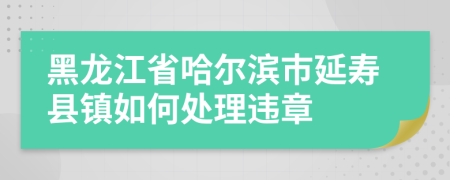 黑龙江省哈尔滨市延寿县镇如何处理违章