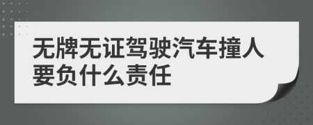 无牌无证驾驶汽车撞人要负什么责任