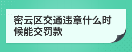 密云区交通违章什么时候能交罚款