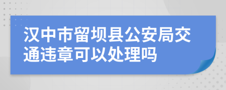 汉中市留坝县公安局交通违章可以处理吗