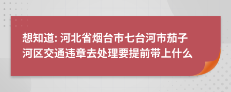 想知道: 河北省烟台市七台河市茄子河区交通违章去处理要提前带上什么