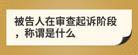 被告人在审查起诉阶段，称谓是什么