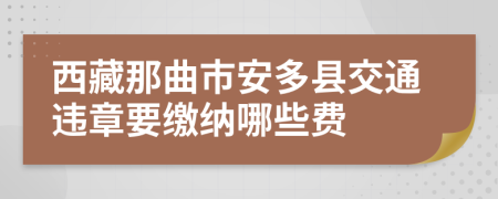 西藏那曲市安多县交通违章要缴纳哪些费