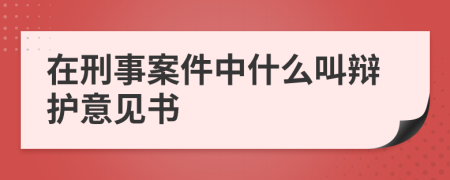 在刑事案件中什么叫辩护意见书