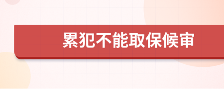 累犯不能取保候审