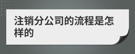 注销分公司的流程是怎样的