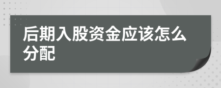 后期入股资金应该怎么分配