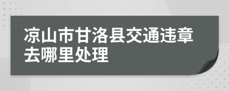 凉山市甘洛县交通违章去哪里处理