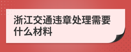 浙江交通违章处理需要什么材料