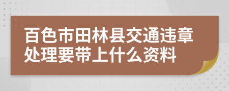 百色市田林县交通违章处理要带上什么资料