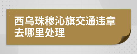 西乌珠穆沁旗交通违章去哪里处理