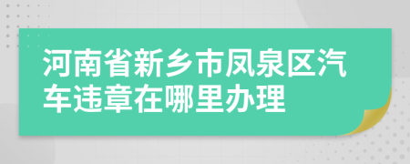 河南省新乡市凤泉区汽车违章在哪里办理