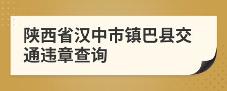 陕西省汉中市镇巴县交通违章查询