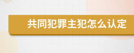 共同犯罪主犯怎么认定