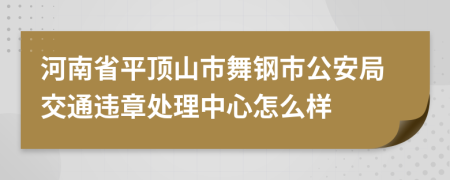 河南省平顶山市舞钢市公安局交通违章处理中心怎么样