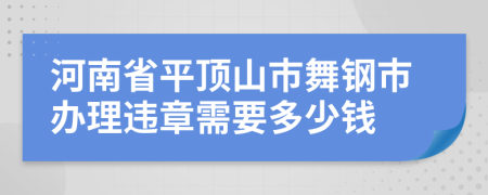 河南省平顶山市舞钢市办理违章需要多少钱