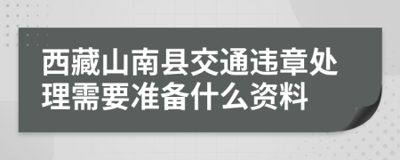 西藏山南县交通违章处理需要准备什么资料