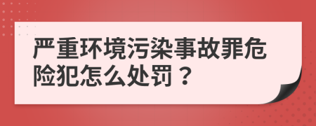 严重环境污染事故罪危险犯怎么处罚？