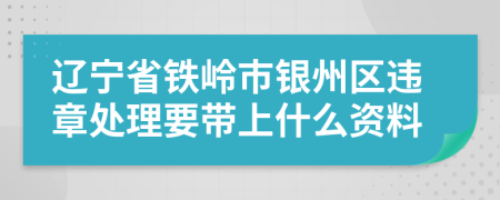 辽宁省铁岭市银州区违章处理要带上什么资料