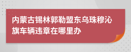 内蒙古锡林郭勒盟东乌珠穆沁旗车辆违章在哪里办