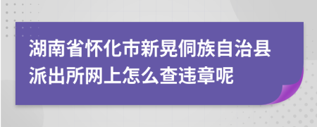 湖南省怀化市新晃侗族自治县派出所网上怎么查违章呢