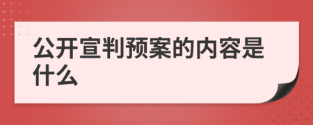 公开宣判预案的内容是什么