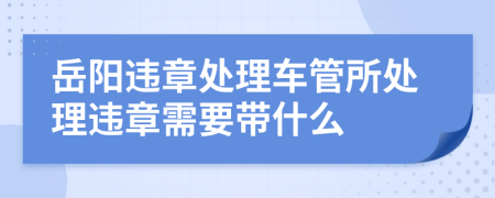 岳阳违章处理车管所处理违章需要带什么