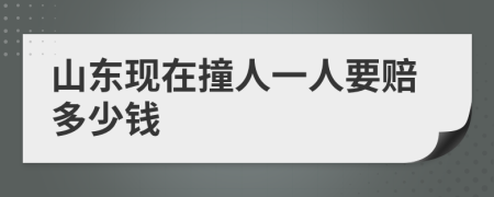 山东现在撞人一人要赔多少钱