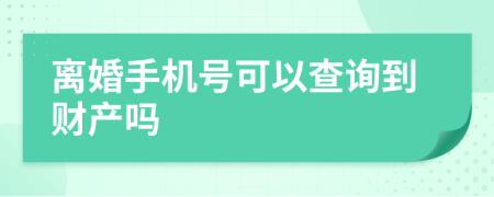 离婚手机号可以查询到财产吗