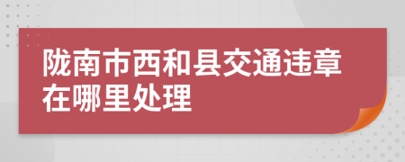 陇南市西和县交通违章在哪里处理