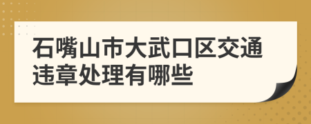 石嘴山市大武口区交通违章处理有哪些