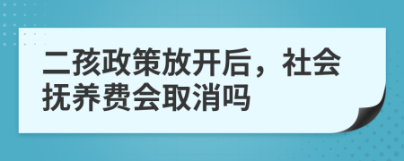 二孩政策放开后，社会抚养费会取消吗