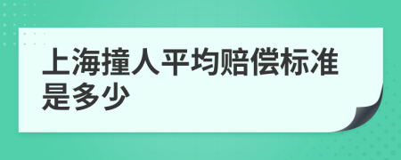 上海撞人平均赔偿标准是多少